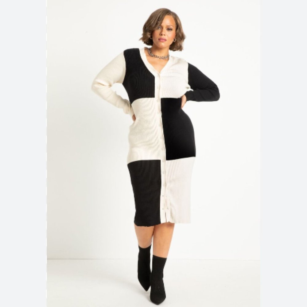 NWT Eloquii Colorblock Sweater Cardigan Dress | Size 18/20 | Size 22/24